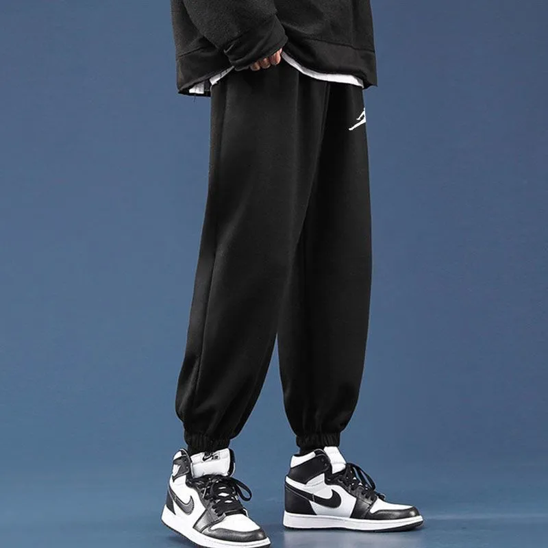 『M-5XL』目立つ 取り入れたい 裏起毛 レギュラー丈 長袖 パーカー パンツ